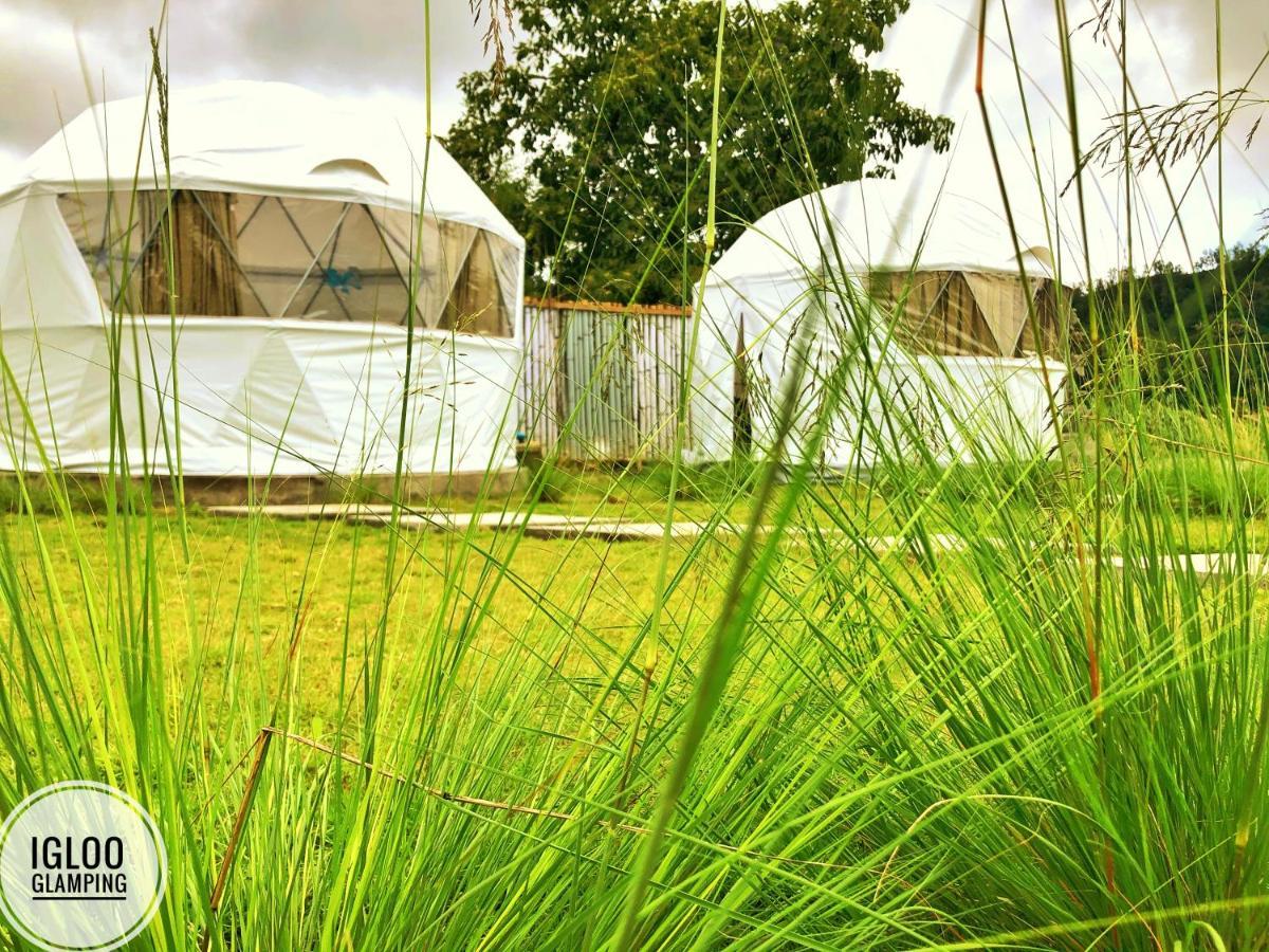 Igloo Glamping Bali Kintamani (Bali)