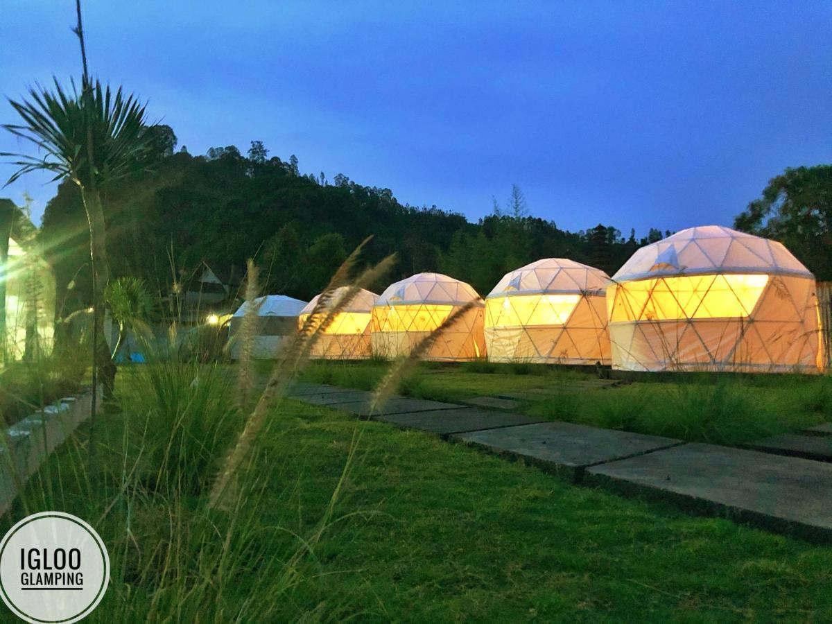Igloo Glamping Bali Luxury tent *