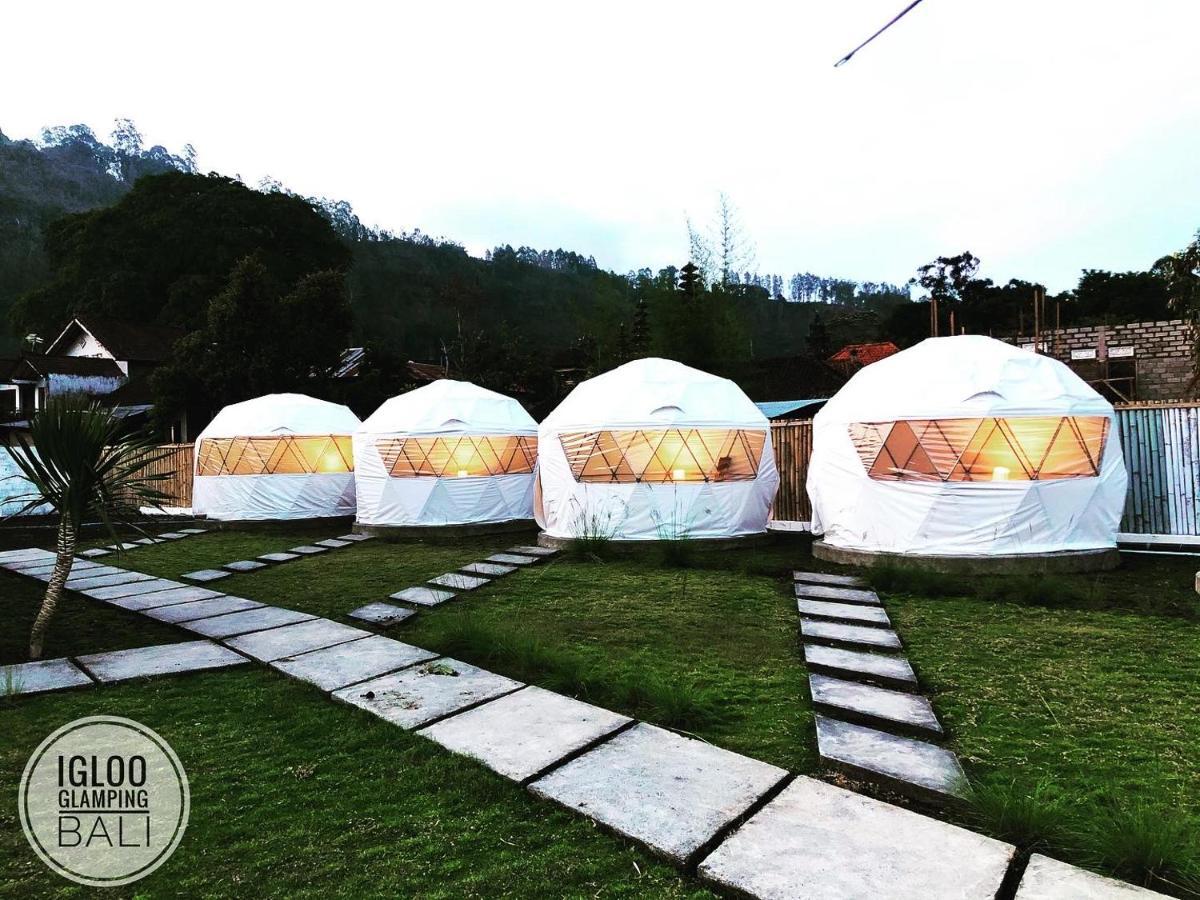 Igloo Glamping Bali