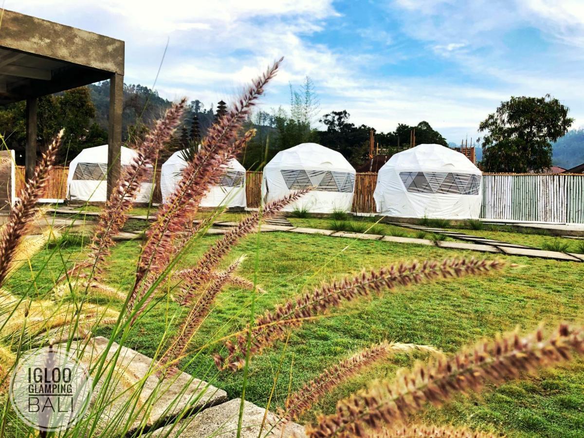Luxury tent Igloo Glamping Bali *